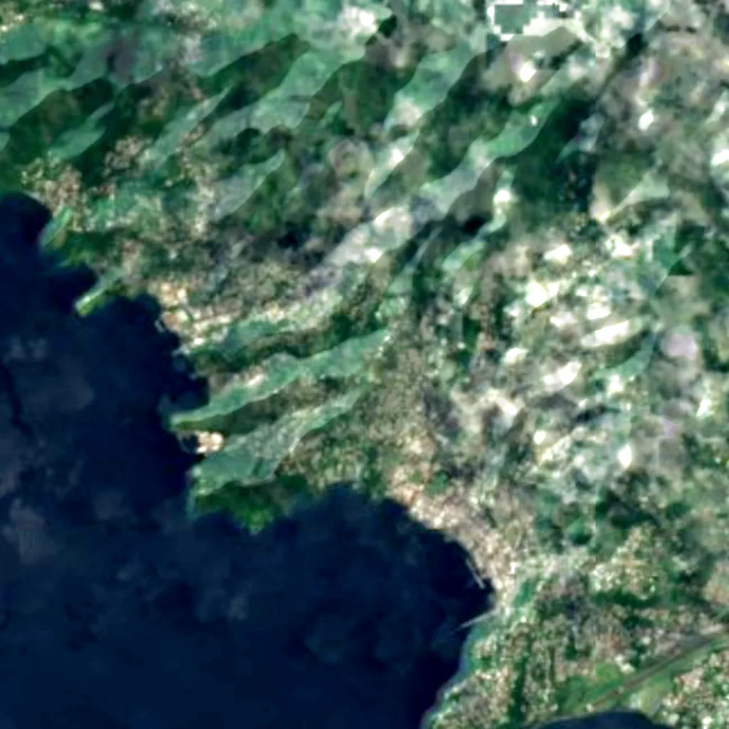 Botanic Gardens St. Vincent seen from above (Sentinel-2)