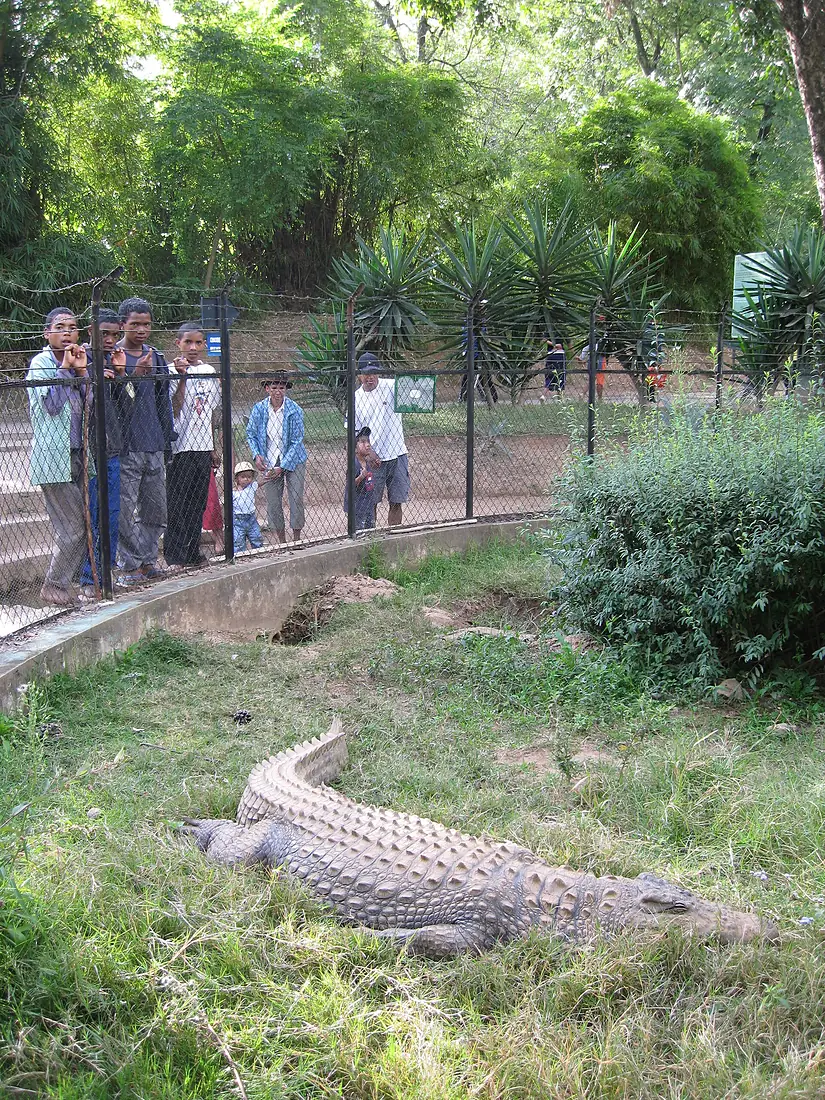 Crocodile exhibit - Tsimbazaza Zoo
