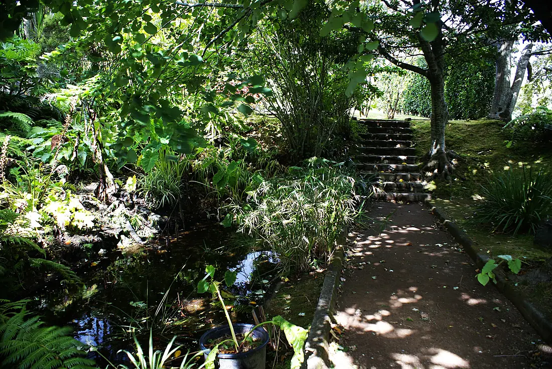 Jardim Botânico do Faial, 4 concelho da Horta, ilha do Faial, Açores, Portugal