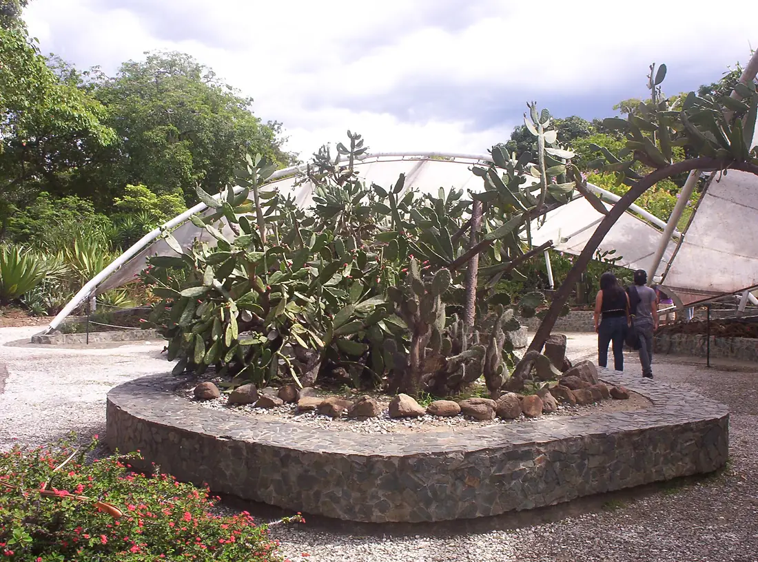Botanical Garden Medellin