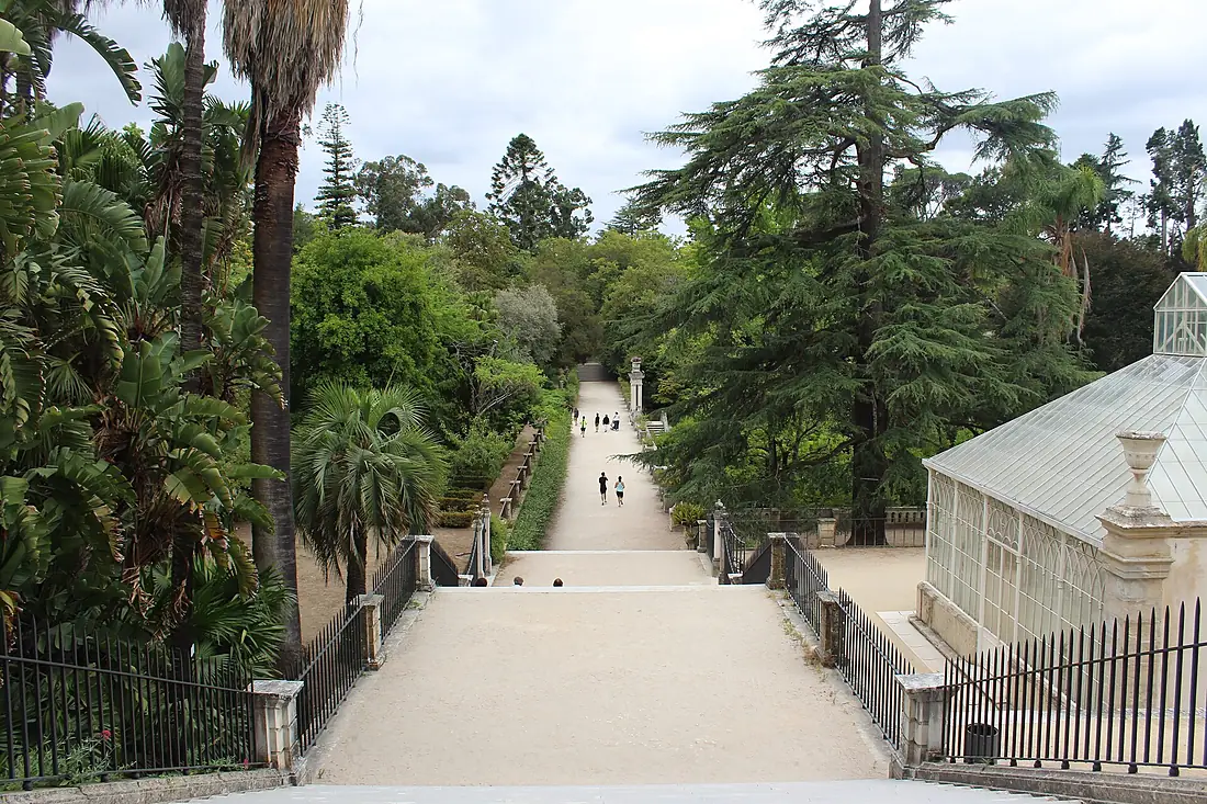 Jardim Botânico da Universidade de Coimbra 3