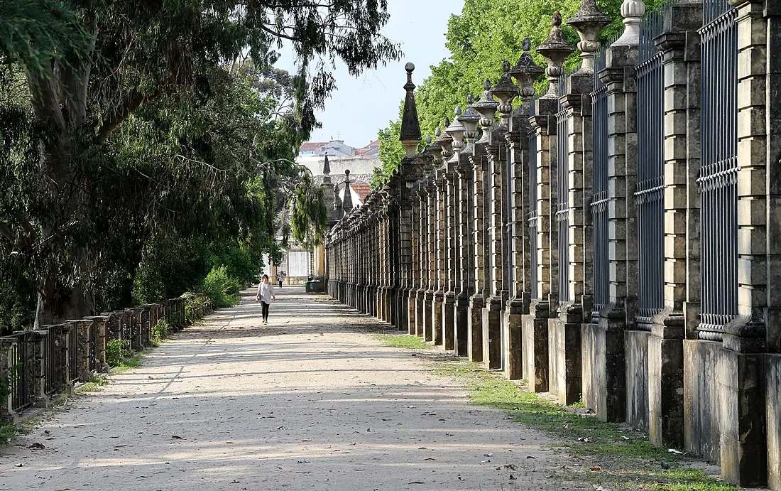 Jardim Botânico de Coimbra - Portugal (8009018414)