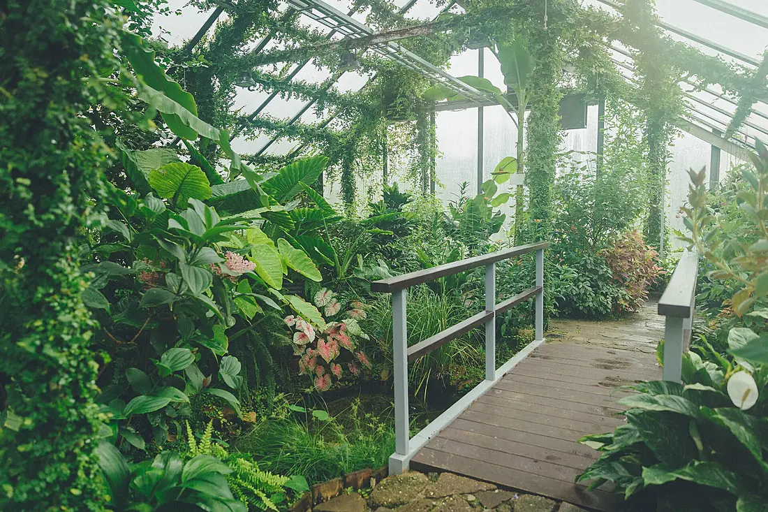 LU-botanical-garden