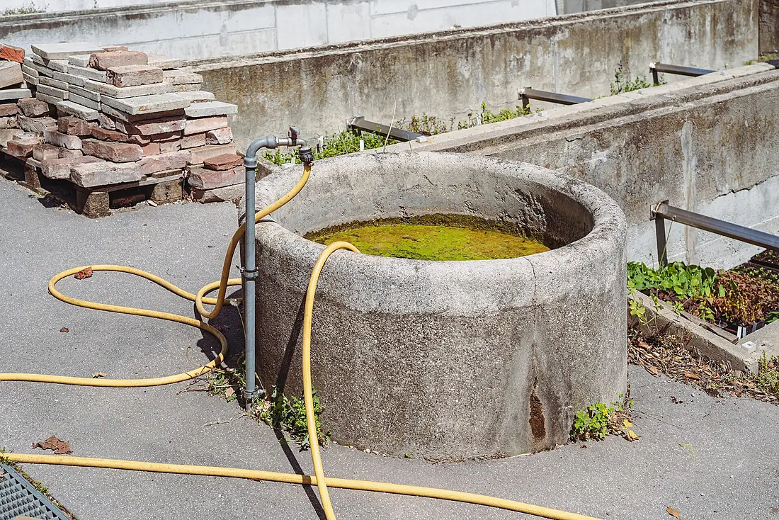 20250501 Botanical Garden University Vienna