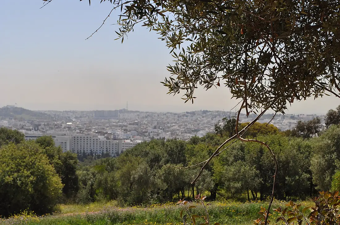 Les jardins botaniques de tunis 2