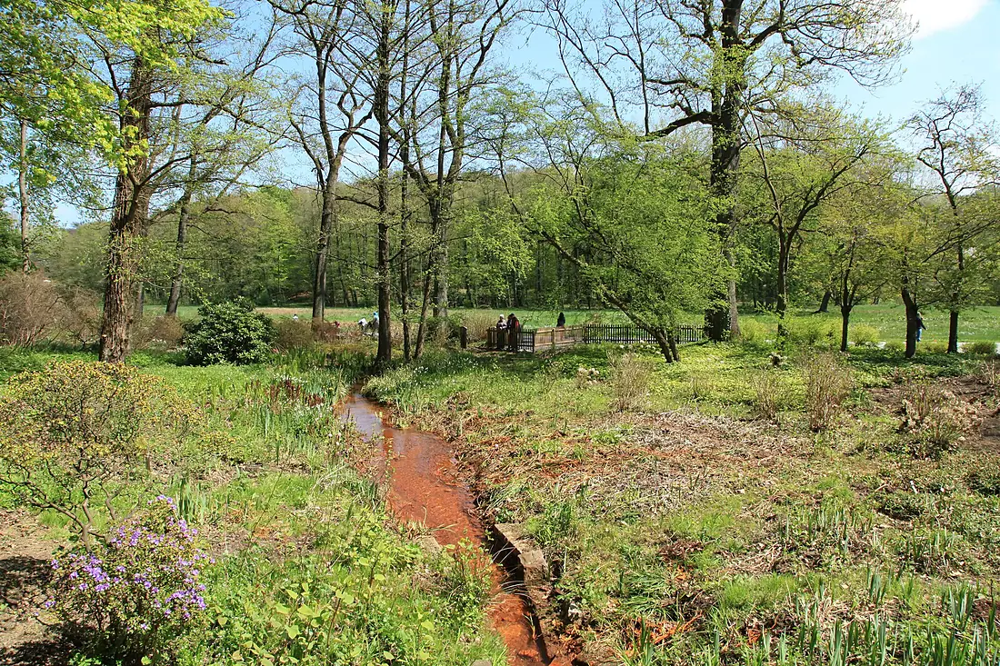Dortmund - Rombergpark - Rombergsiepen 09 ies