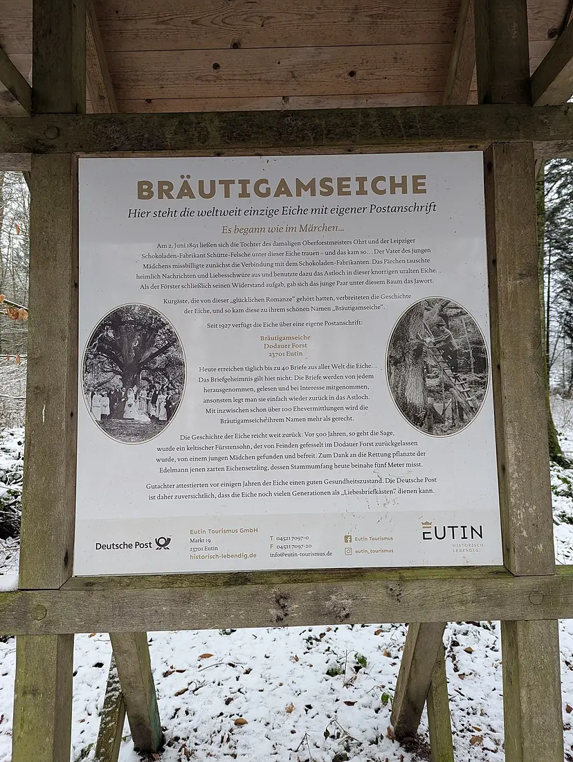 Briekasteneicheeutin