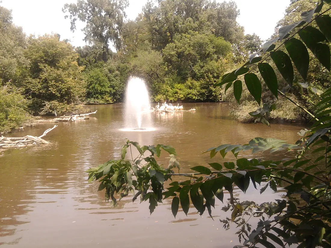 Budapest Zoo - panoramio