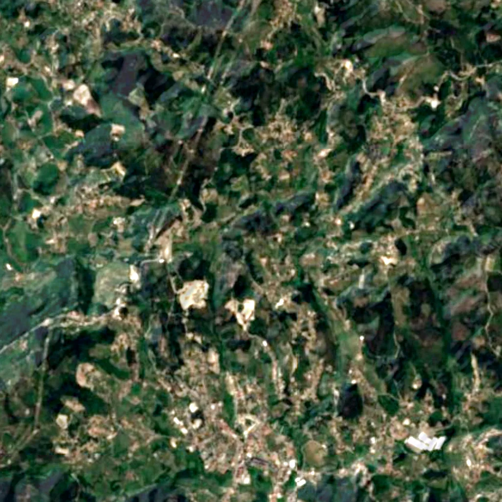 Calvos Oak seen from above (Sentinel-2)