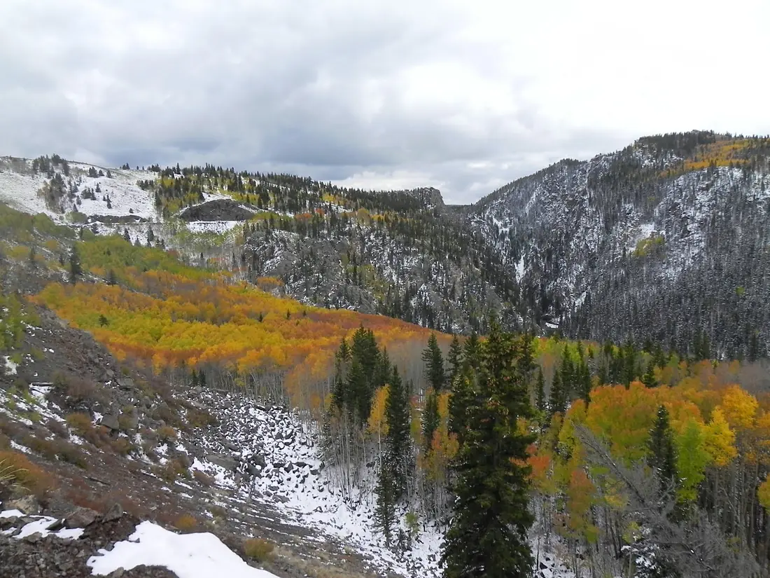Aspens along Toltec Gorge - panoramio