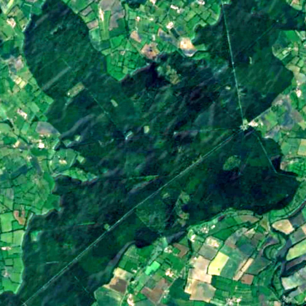 Cerisy Forest seen from above (Sentinel-2)