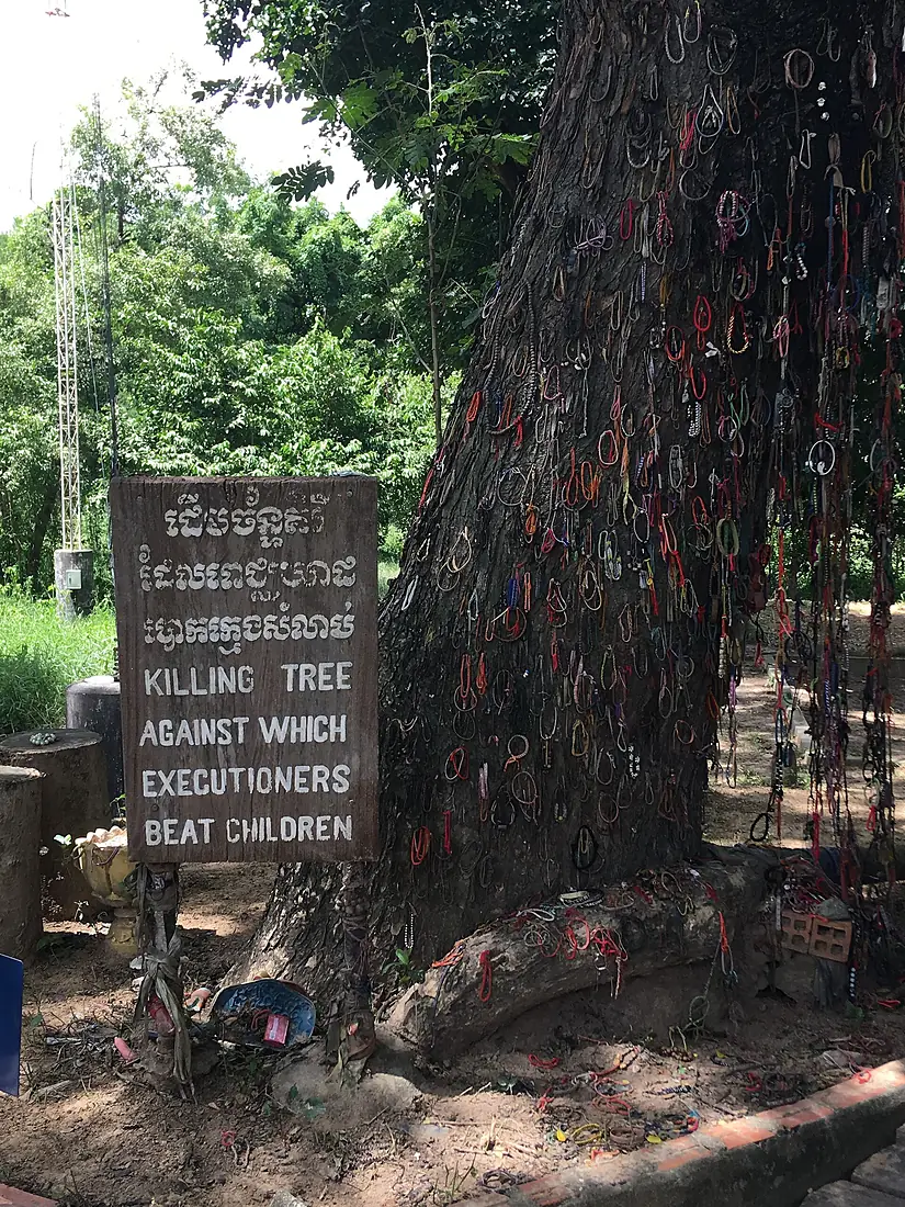 Killing tree Choeung Ek 2