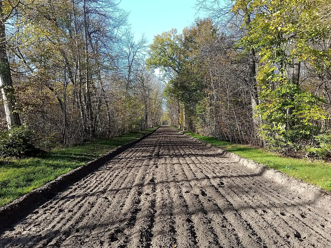 Forêt de Chantilly allée équestre 02