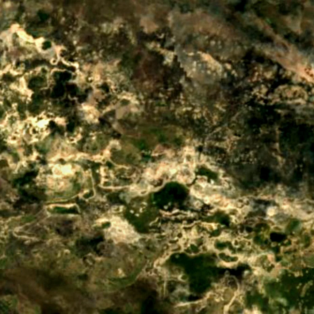 Chapman’s Baobab seen from above (Sentinel-2)
