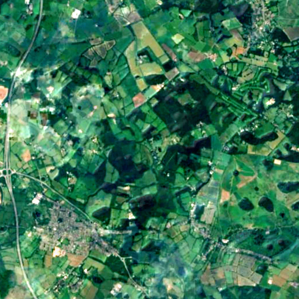 Charnwood Forest seen from above (Sentinel-2)
