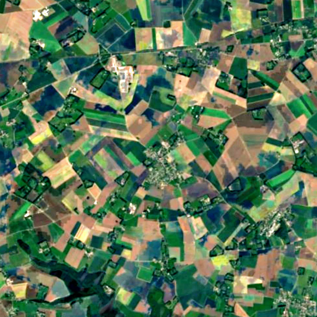 Chêne d'Allouville seen from above (Sentinel-2)