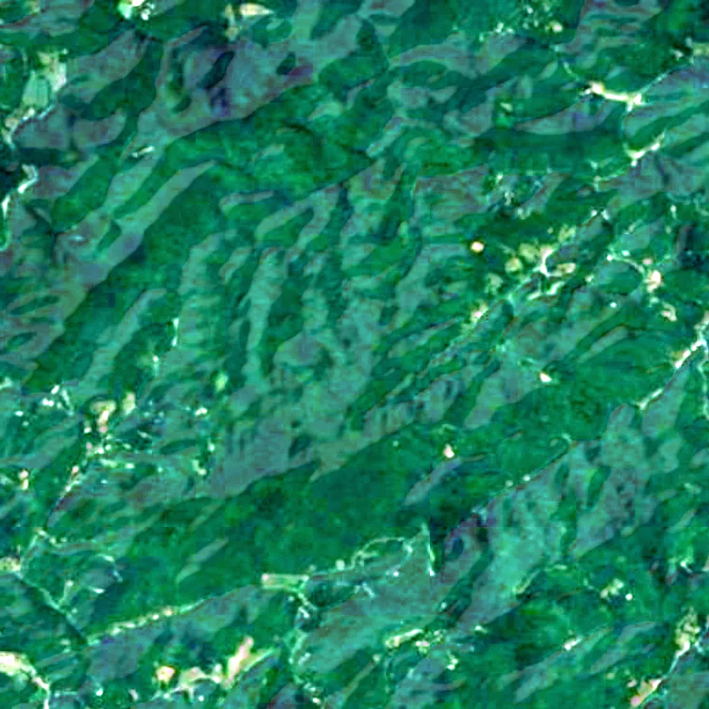 Cherokee National Forest seen from above (Sentinel-2)