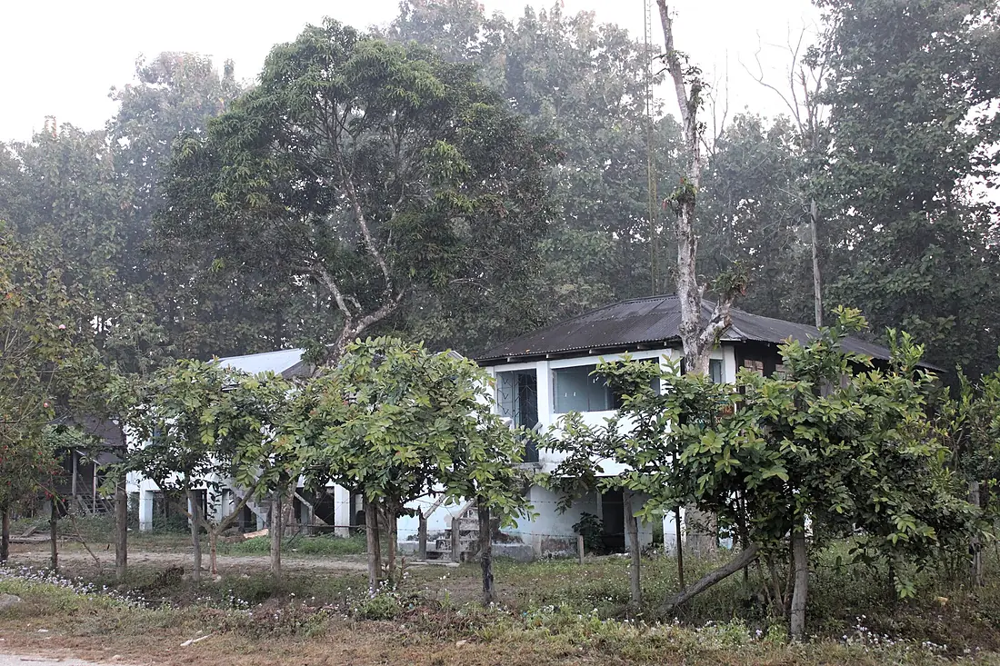 Entry to the Chilapata Forest