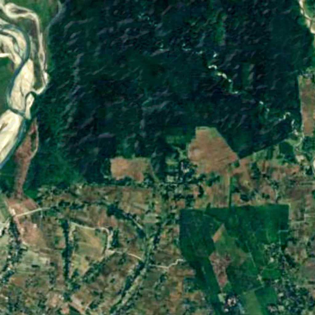 Chilapata Forests seen from above (Sentinel-2)