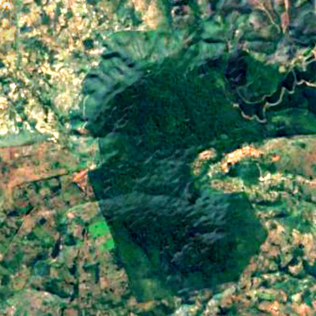 Chirinda Forest Botanical Reserve seen from above (Sentinel-2)