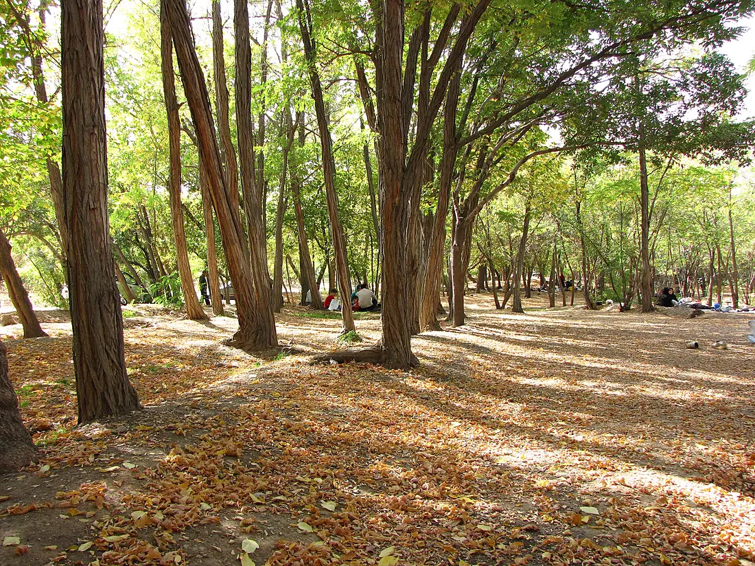 Chitgar - panoramio
