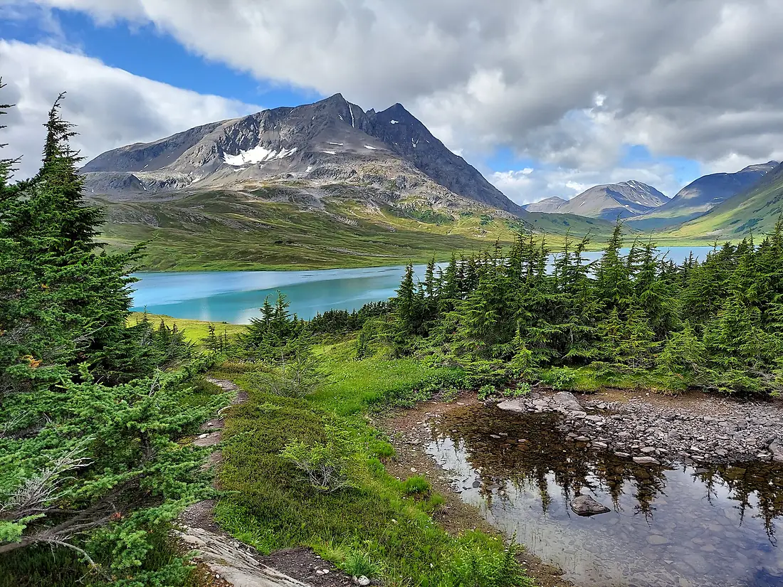 1st Place-This is Who We Are-Who We Are-Chugach-SLS-008 (51615647750)