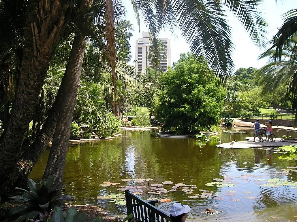 City botanic gardens (duck pond)