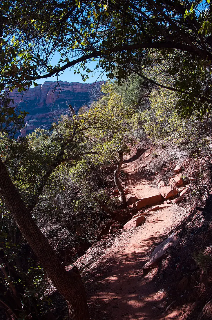 Boyton Canyon Trail No. 47 - 23914867014