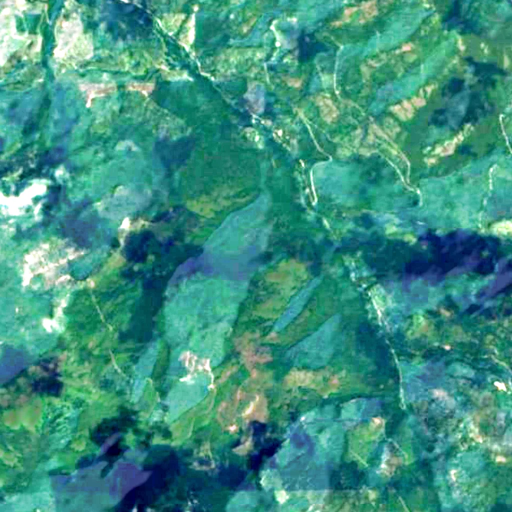 Colville National Forest seen from above (Sentinel-2)