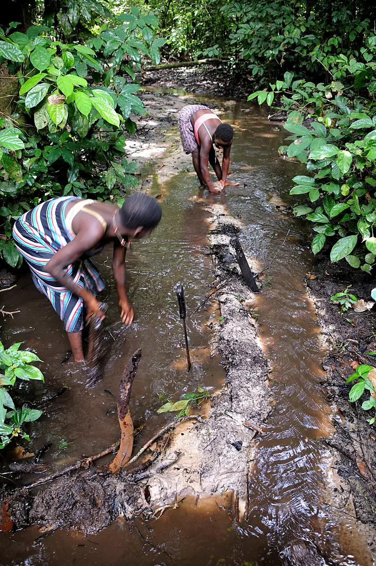 Development Aid Congo