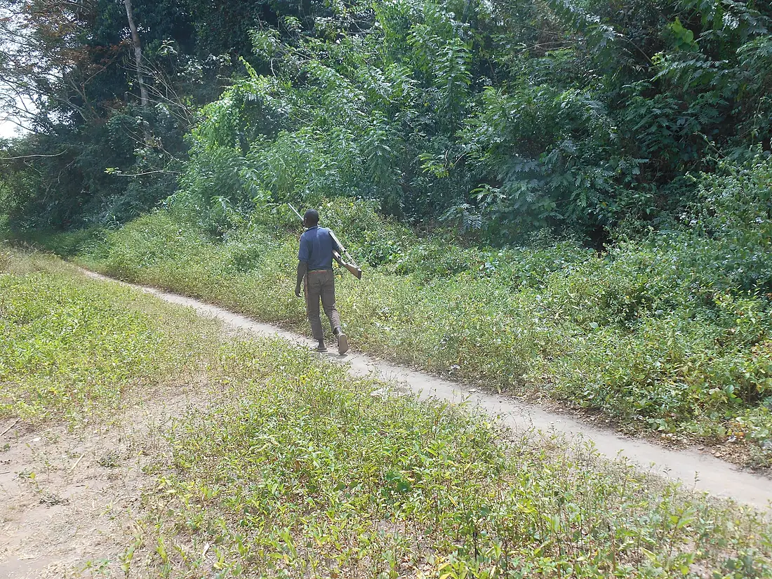 Development Aid in Congo Wasted