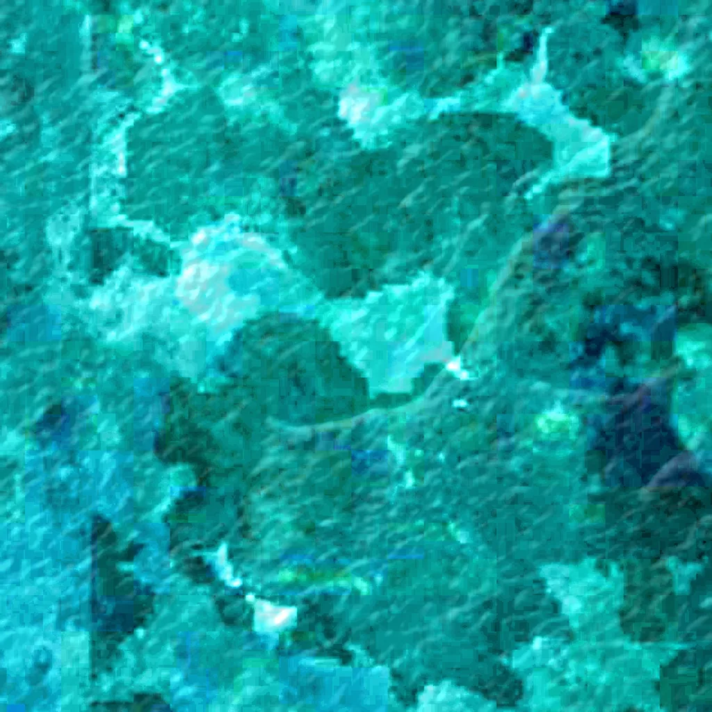 Congolian forests seen from above (Sentinel-2)