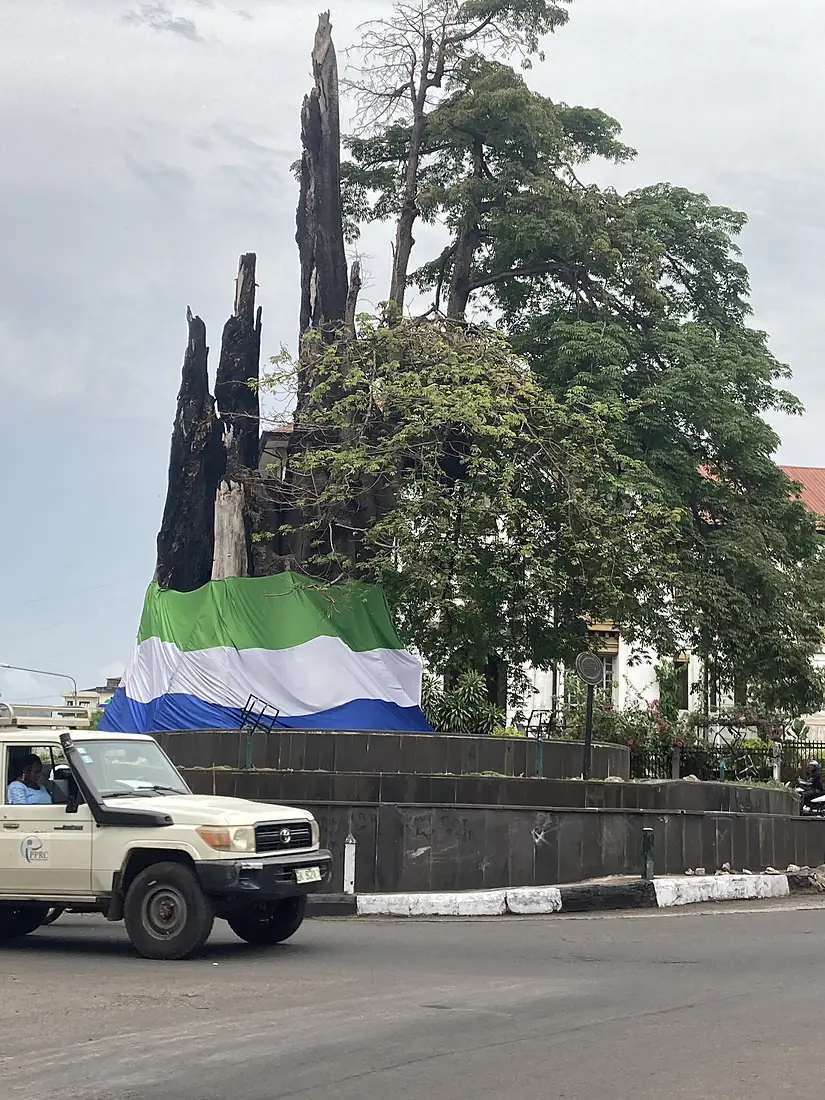 Cotton Tree with stump and Sierra Leonean flag