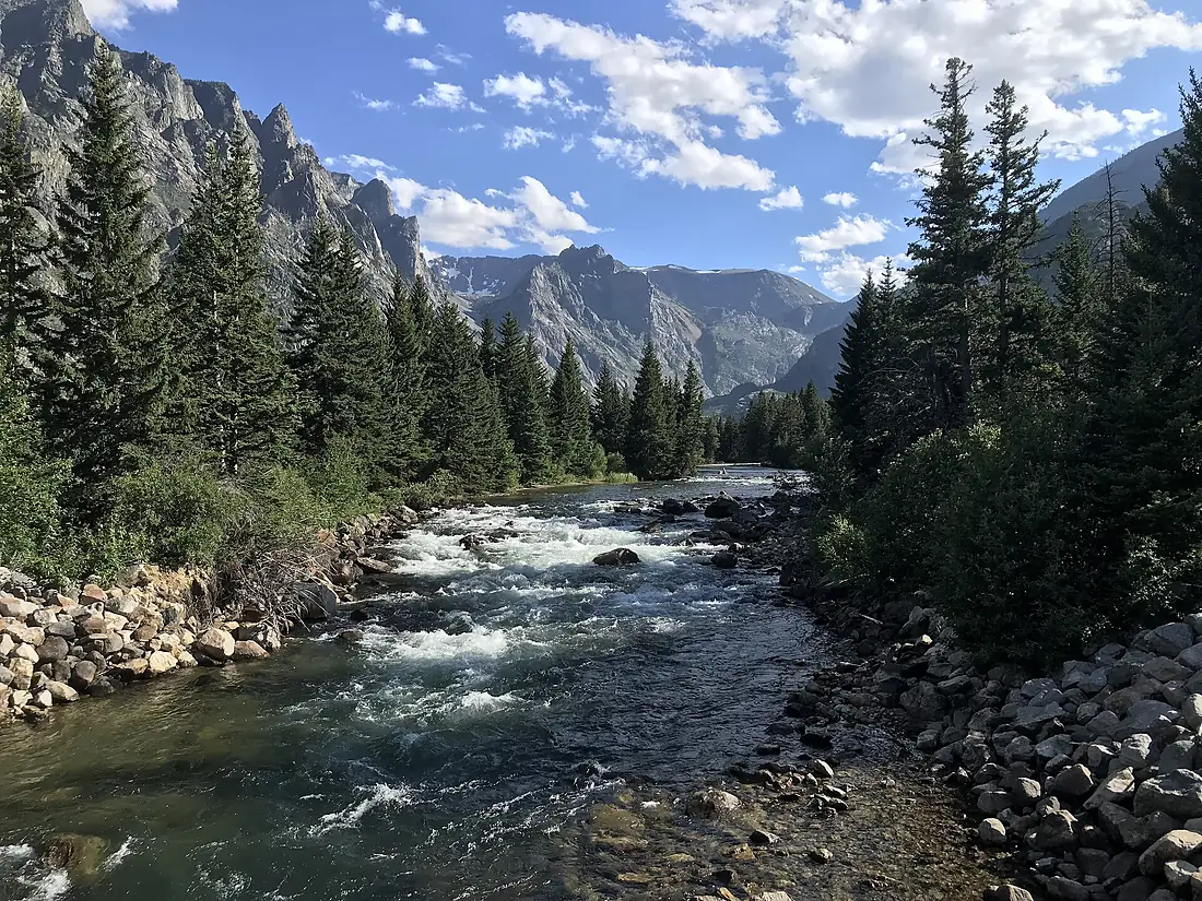 East Rose Bud Creek-Custer Gallatin National Forest-IMG 3850 (53280687758)