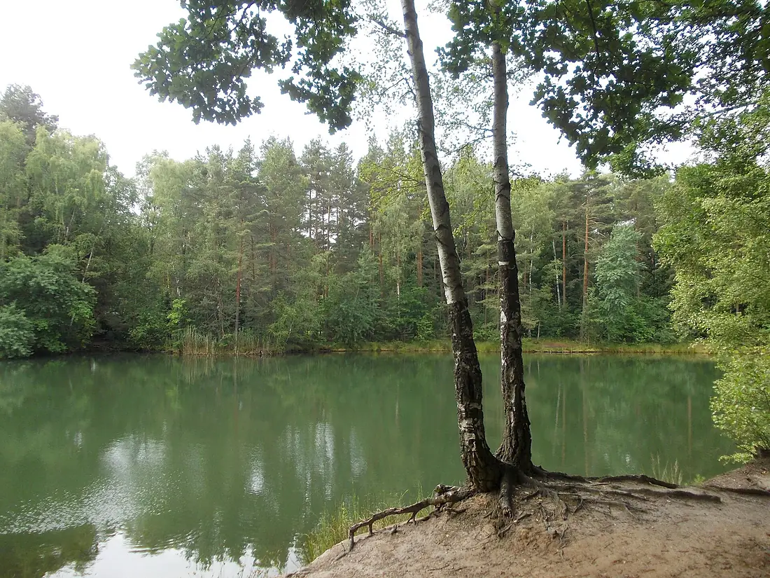 BlauerSee-Dahlenerheide