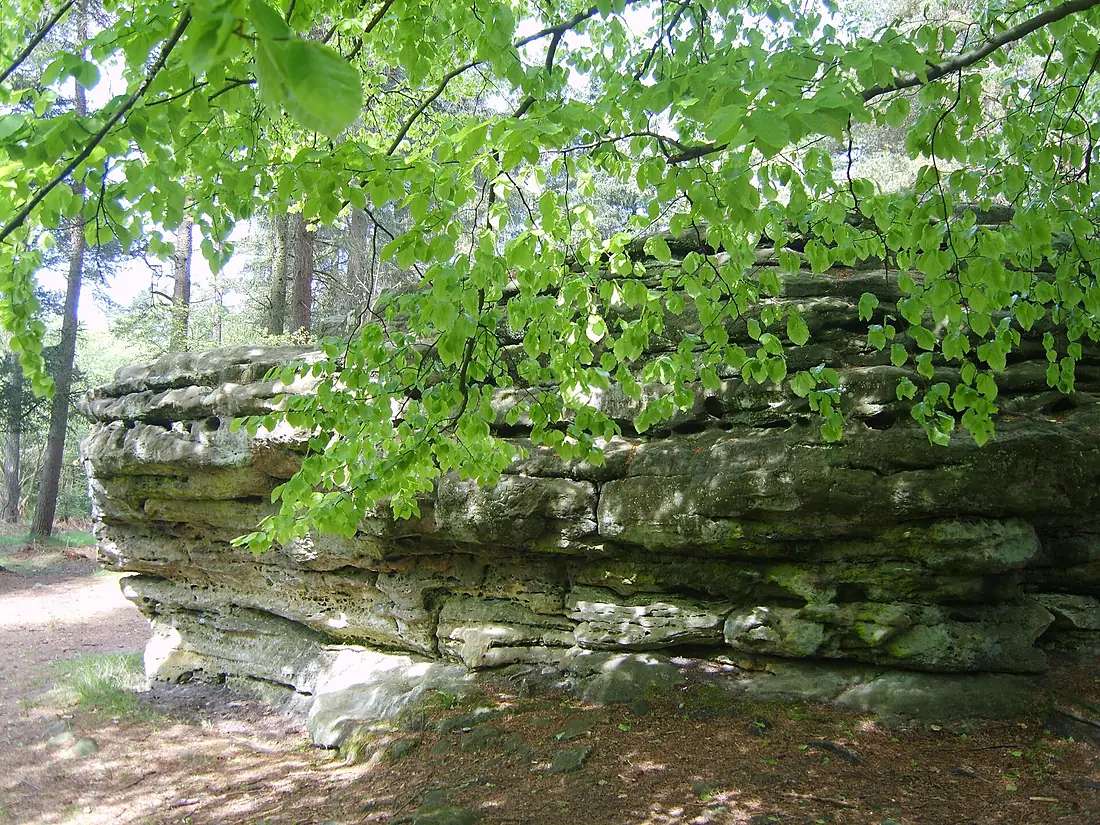 Adder Stone - Dalby Forest - panoramio (2)