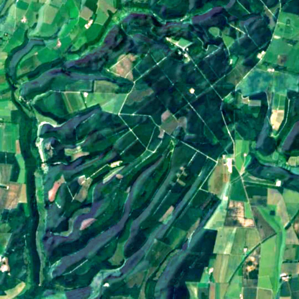 Dalby Forest seen from above (Sentinel-2)