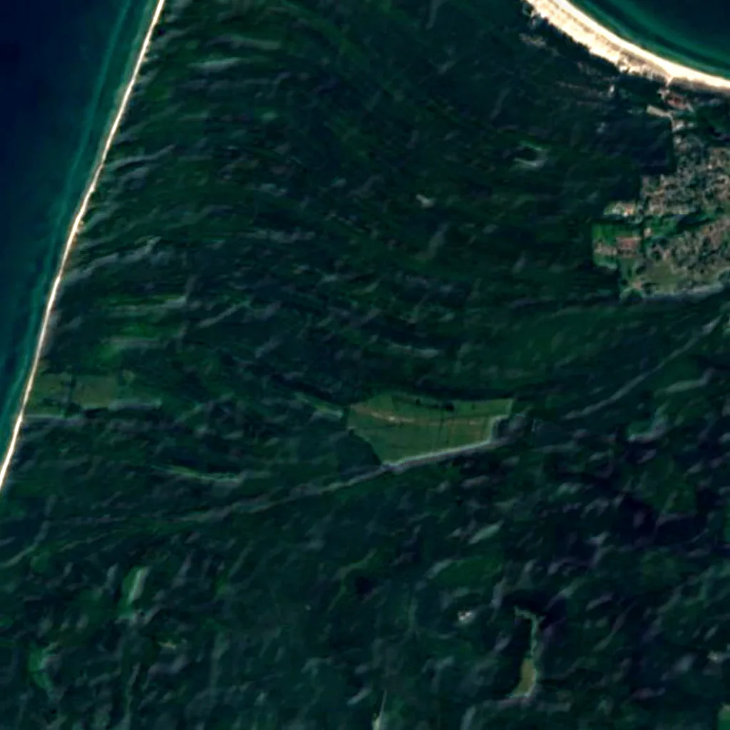 Darß Forest seen from above (Sentinel-2)