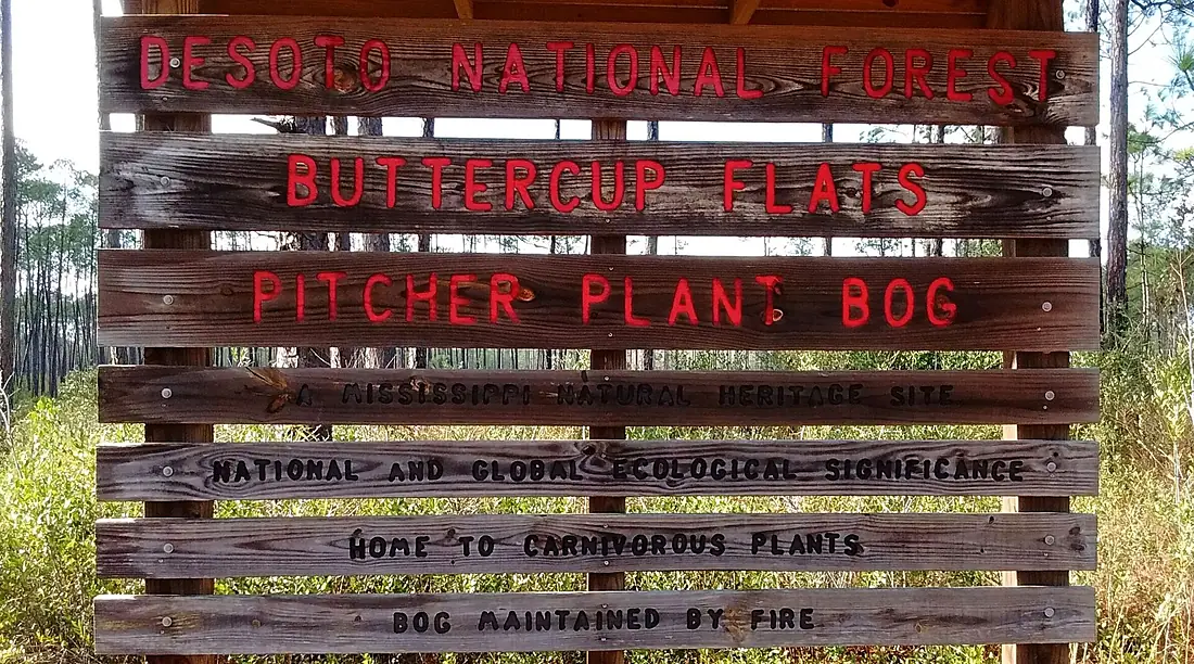 Buttercup Flats Sign