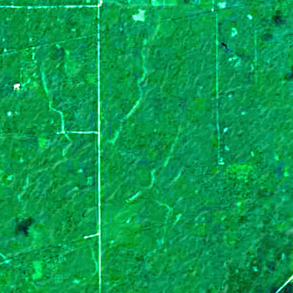 Delta National Forest seen from above (Sentinel-2)