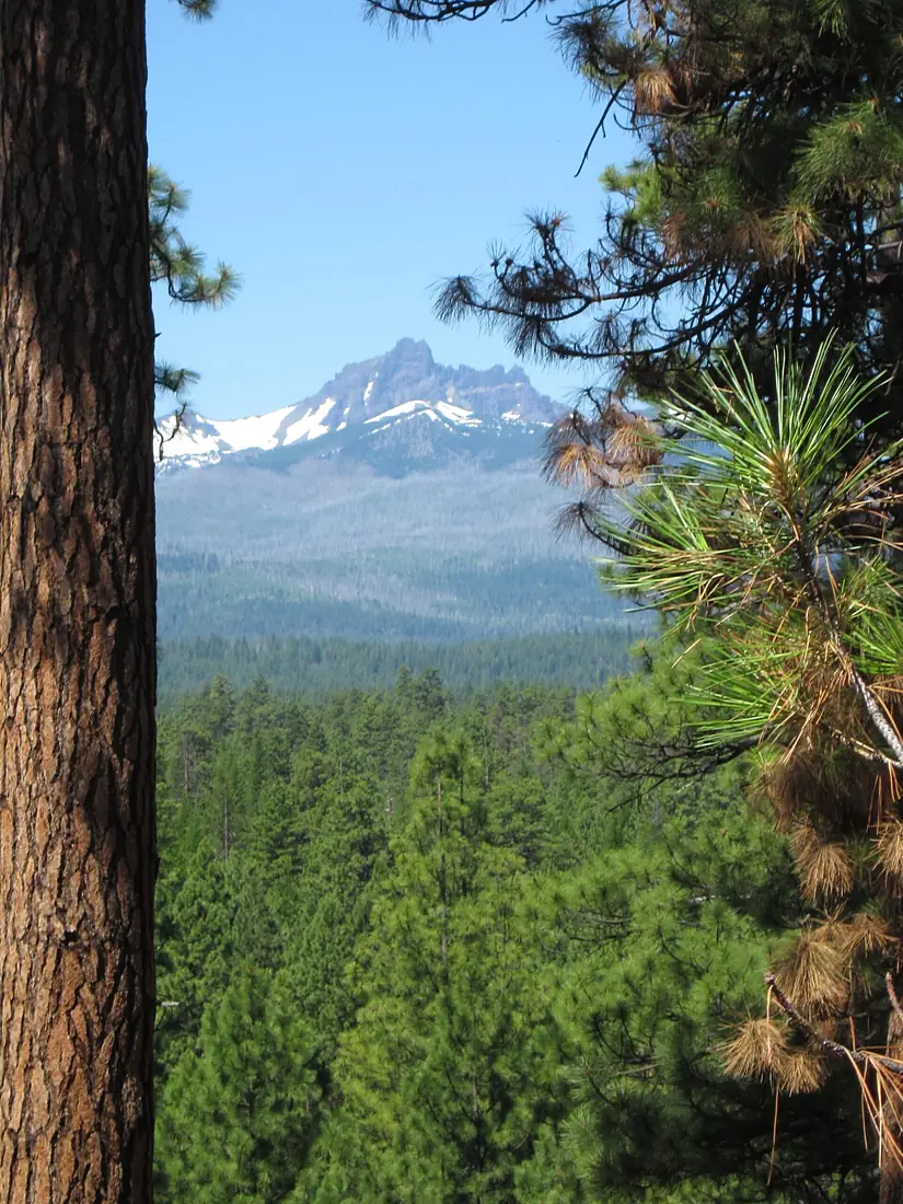 Deschutes National Forest - Oregon - 6031621501