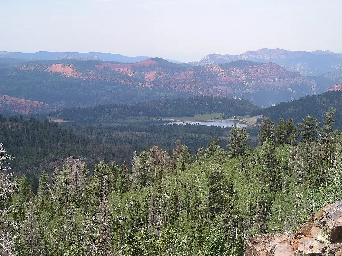 Dixie NF