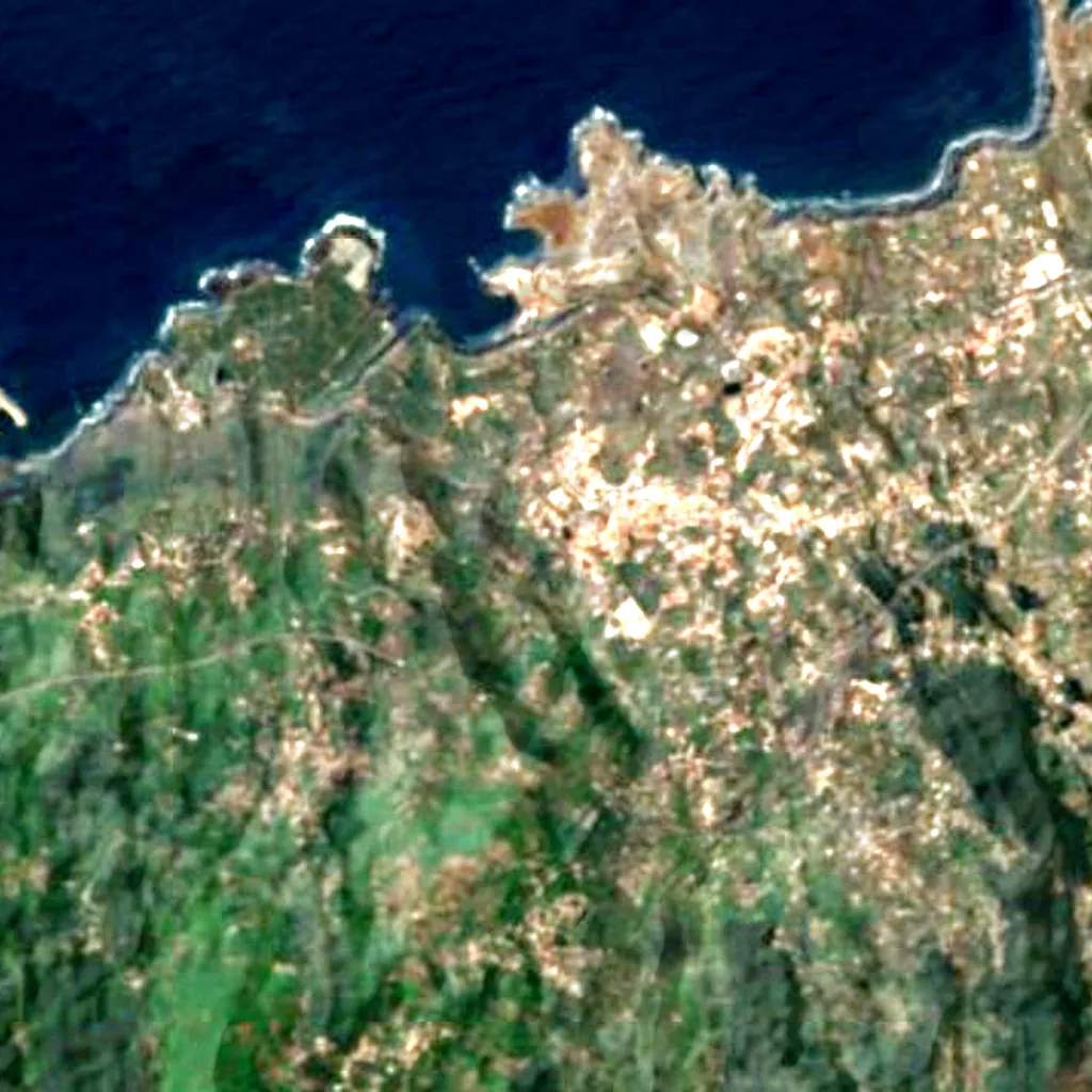 Drago de Icod de los Vinos seen from above (Sentinel-2)