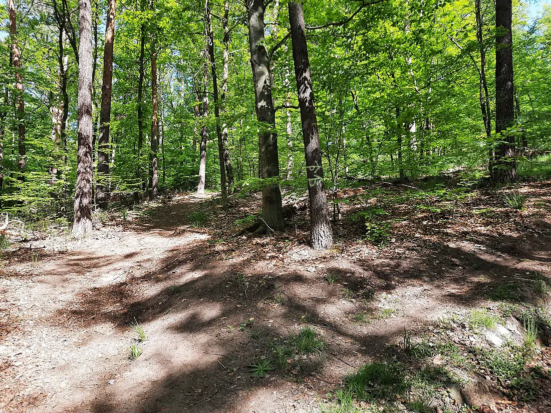 20220509.Dresdner Heide.-013
