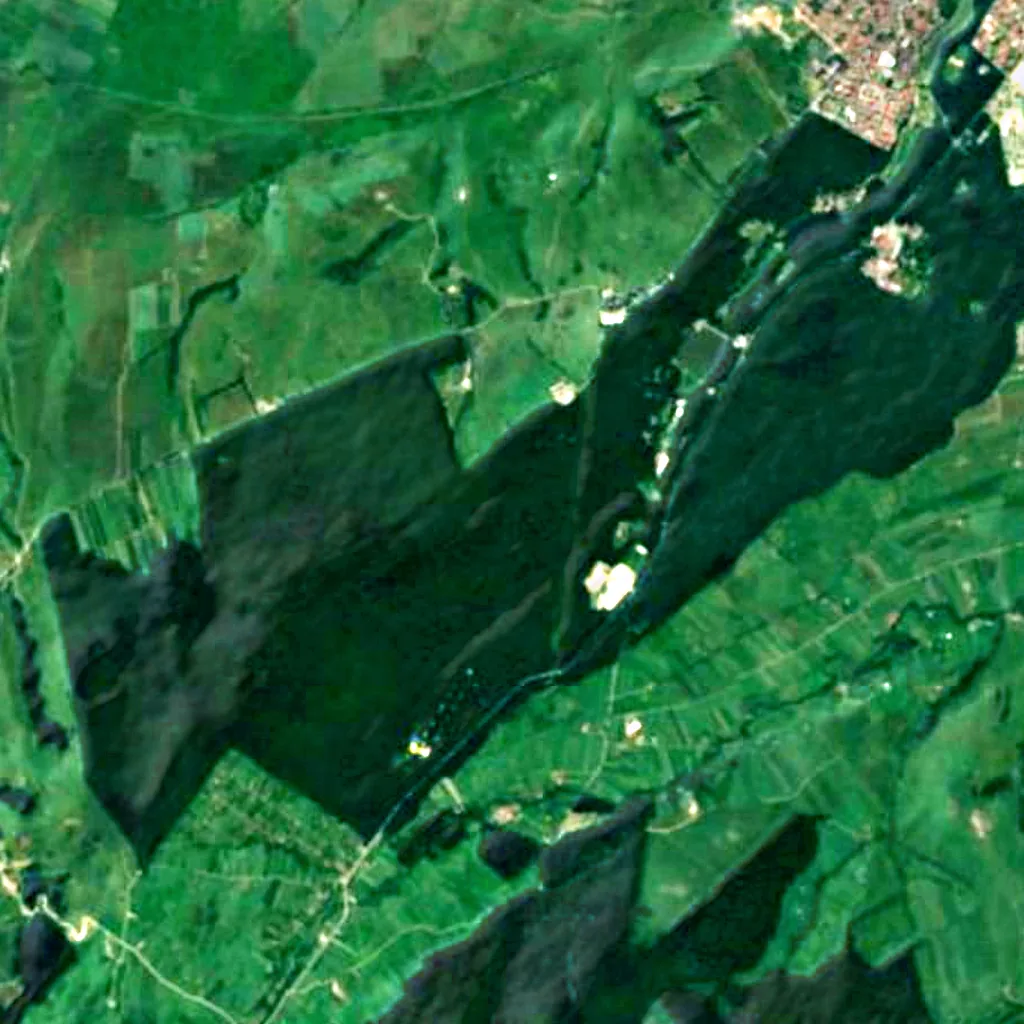 Dumbrava Sibiului Natural Park seen from above (Sentinel-2)