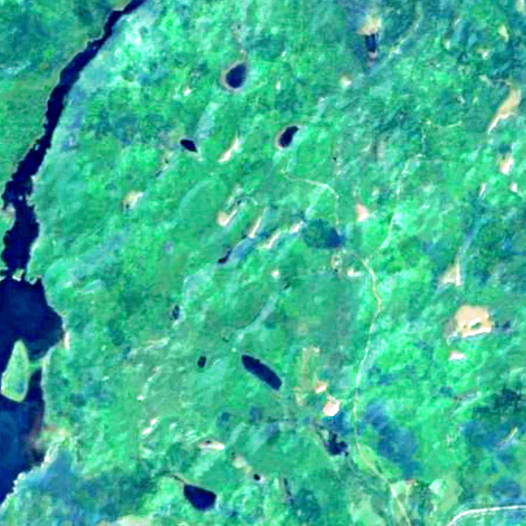 Eastern forest-boreal transition seen from above (Sentinel-2)