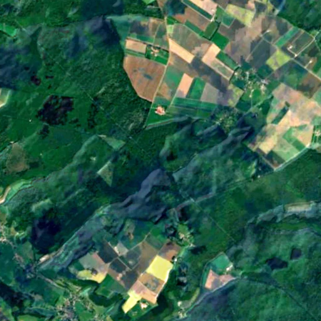 Eawy Forest seen from above (Sentinel-2)