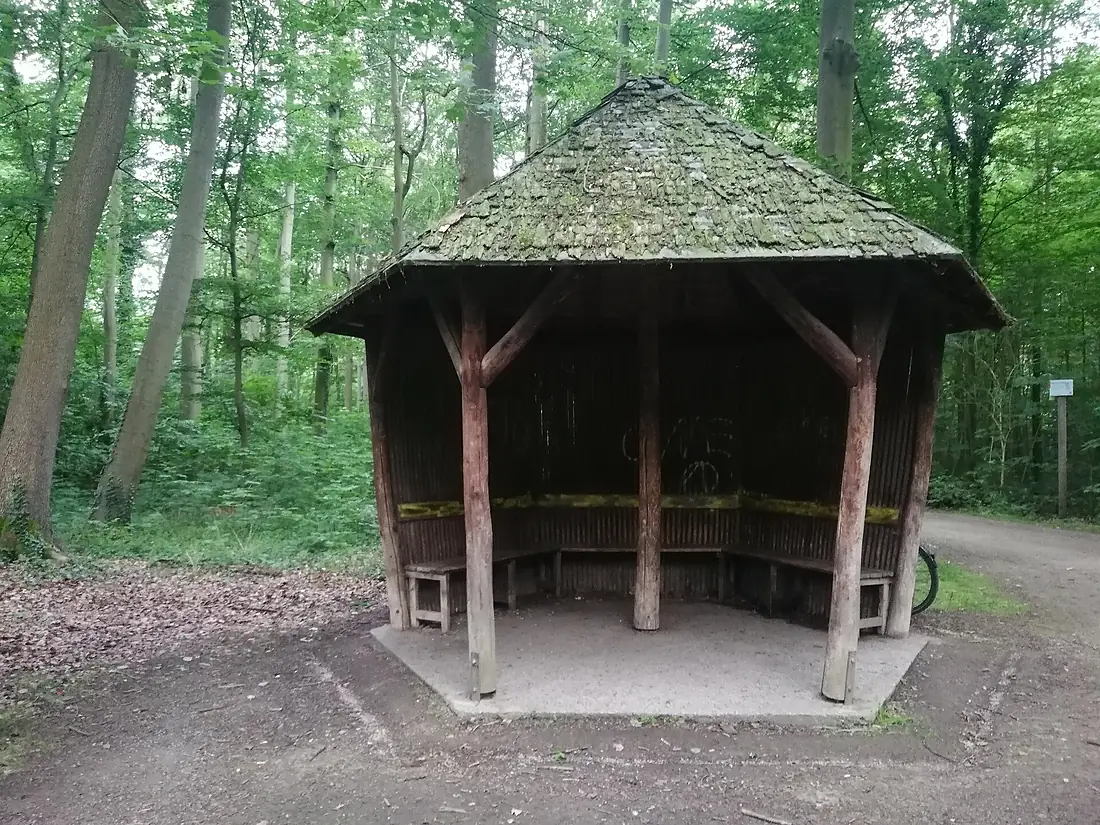 2021-06-20 Schutzhütte am Königinnenweg in der Eilenriede
