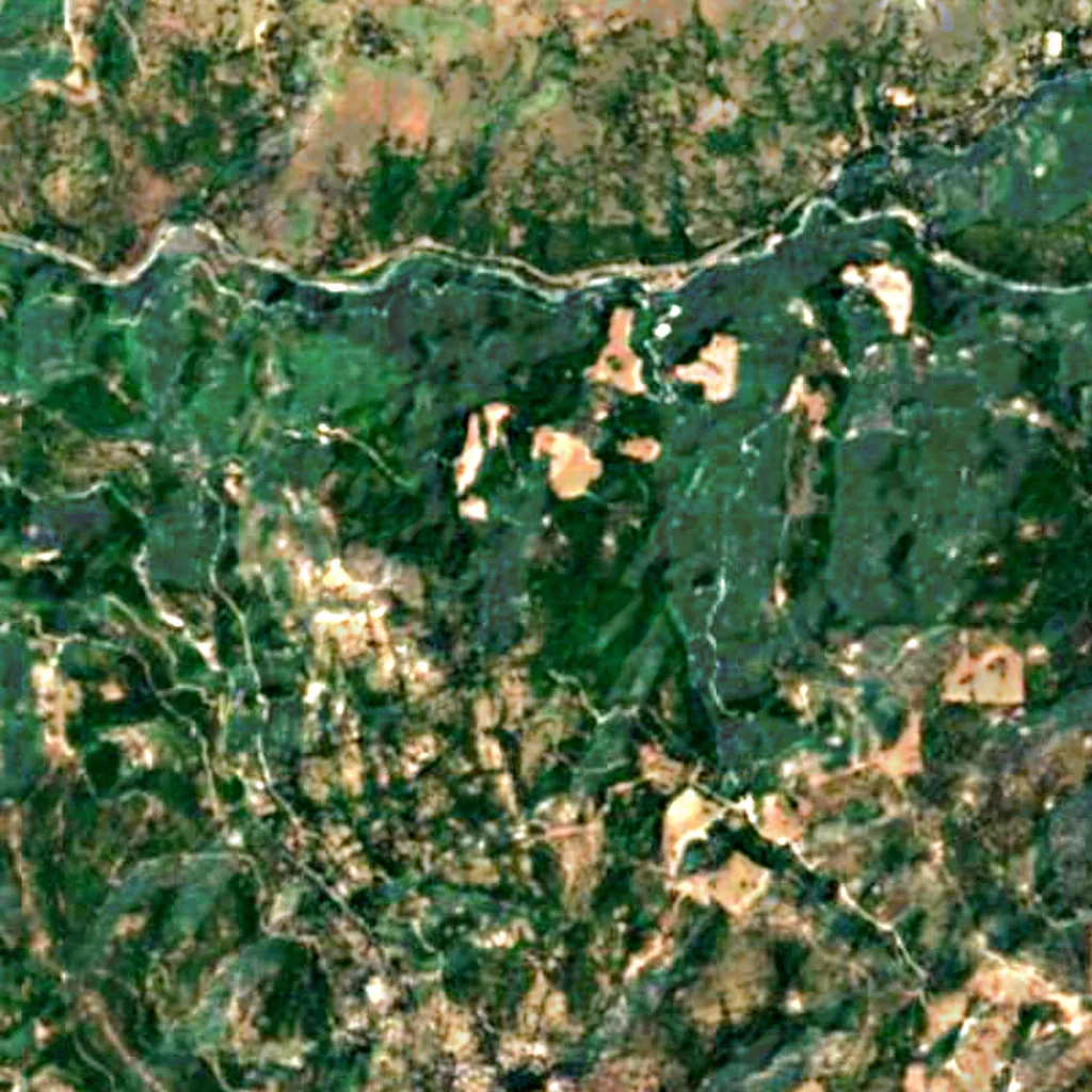 Eldorado National Forest seen from above (Sentinel-2)