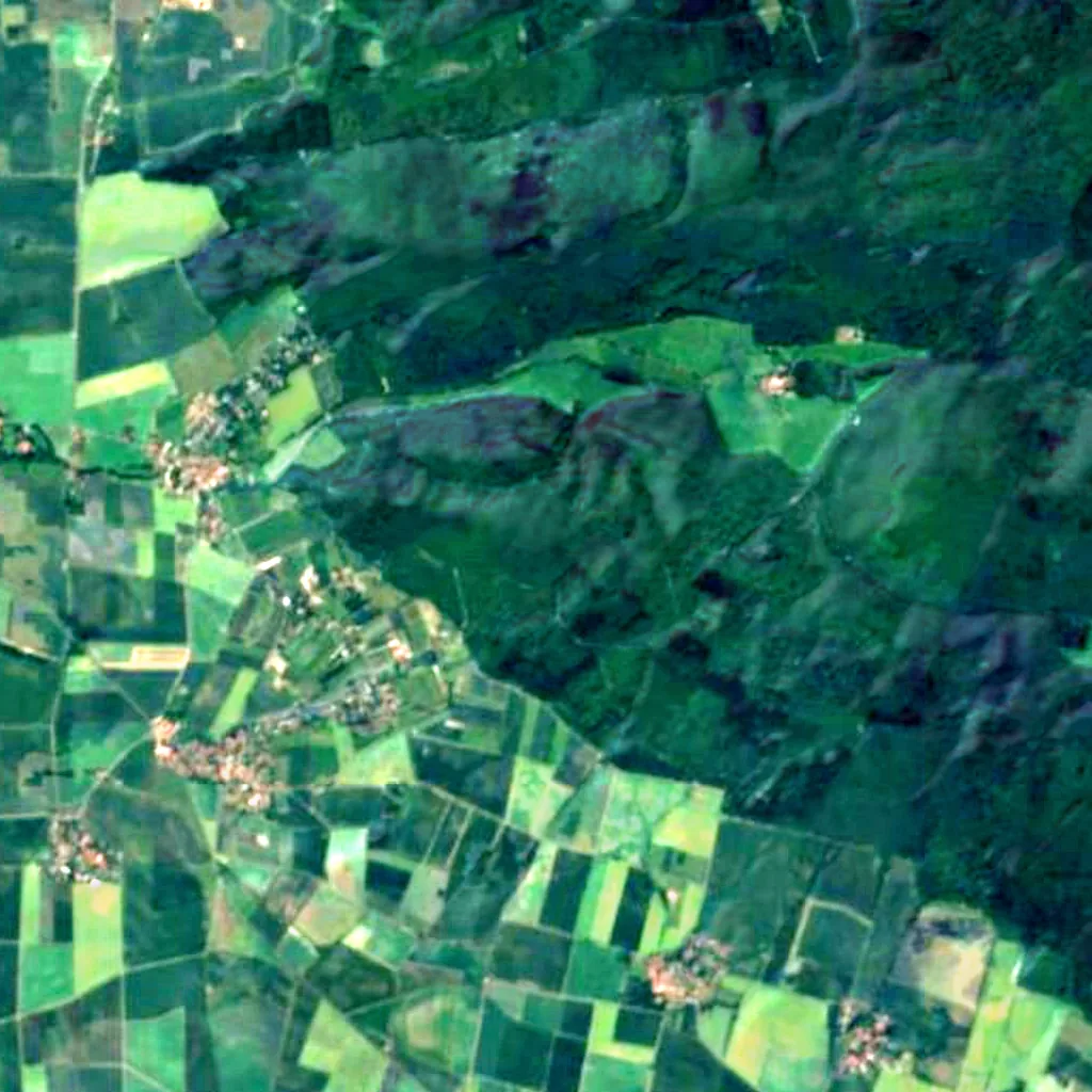 Elm seen from above (Sentinel-2)